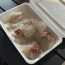 포청회센타