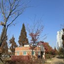 늘솔길숲이야기 화장실 | [대형견 산책코스]송도 늘솔길공원. 양떼목장/도심 속 걷기 좋은곳 많이 안알려져 좋아요