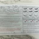꽃피는아이 이미지