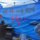 구룡포과메기