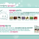 꽃을든남자미용실