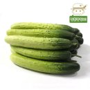 S0805 쇼핑하우