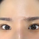 부산 속눈썹펌 후기 좋은 수영 도트연뷰티샵 수영역 속눈썹펌 눈썹문신은 여기로 종결