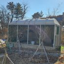 빌라 드 미르 이미지