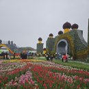 11 | 충남 태안 세계튤립꽃박람회 방문후기(4월 11일)