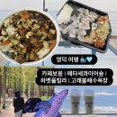 공원마을1길54 | 영덕 여행ㅣ메타세콰이어 숲 ㅣ하벳풀빌라ㅣ고래불해수욕장 ㅣ안동중앙찜닭