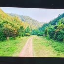 숲속에서 이미지