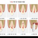 장승준동물치과병원 이미지