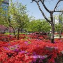 대전시청 이미지