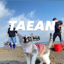 수선화펜션가족단체독채갯벌체험 이미지