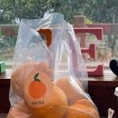 고우농장 이미지