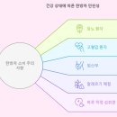 좋은차만들기 | 환절기 한약재 활용 건강차 레시피: 면역력 강화에 좋은 한방차 만들기