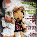 락팩토리 Daum카페