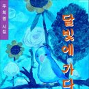 달빛에 가다 / 주희령 시집 (전자책) 이미지