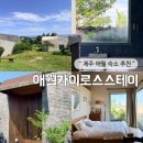 장전초등학교 | 제주 애월 숙소 “애월 카이로스 스테이” 바다 전망 커플 숙소 추천