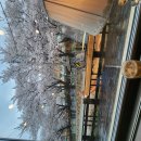 꽃피는산골 | 하동 카페 꽃피는 산골후기