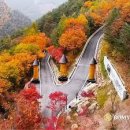 2차10월30일(금)~31일 로미지안 단풍 숙박(통관대관)+덕산기 계곡 이미지