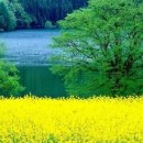 우리봄이네 이미지