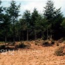 울산 대곡박물관 에서 2월 28일 조선과 천주교의 만남 강연 (한윤식 부산 가톨릭대 교수) 있습니다, 이미지