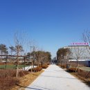 마곡중앙로(서측) 이미지