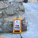 위클라드 자쿠지 펜션 | 경주 애견동반 펜션 강아지 수영장과 잔디밭이 있는 독채펜션 위클라드 풀빌라 자쿠지 10동 솔직후기