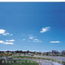 우석자동차학원 | 우석자동차운전전문학원 가봤더니 수업이 이렇게 좋을 줄이야