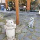 270-3045 | 경주 대형한옥카페 포석정카페