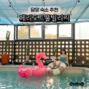 페리도트풀빌리지 네이버블로그