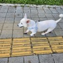 몽이네컷 이미지