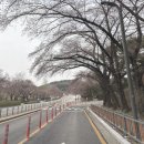 궁말11 (apmadang) 네이버블로그