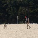 남항진해변 이미지