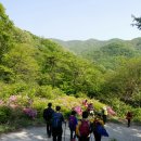 산정상 이미지