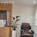 효성한의원 | 강서구 방화동 한의원 효성한의원 진료시간 접근성 이용후기