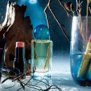 스킨N스칼프 이미지