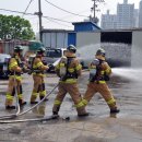 보람농장 이미지