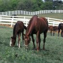 무진산업 이미지