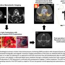 Comparison of dICP and presumptive clinical MRI indicators of ICP in dogs 이미지