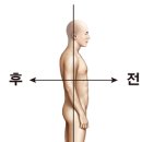 두번째이야기 Daum카페