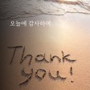 🌹오늘에 감사하며🌹글. 성철 스님 어록 中 이미지