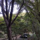 학가산우래자연휴양림 야영장 이미지