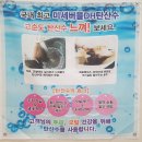 속눈썹 왁싱 에스샵뷰티