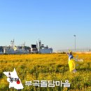 도시철도 중구청역 공중화장실 | 동해 묵호 여행 부곡돌담마을해안숲공원 강원도 금계국 명소
