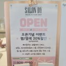 살롱디와이