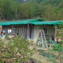 동막농장 이미지