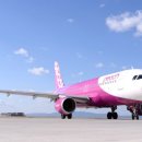 피치203-3 이미지