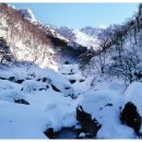 오토오아시스 이미지