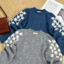 벌룬플라워 이미지