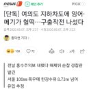 여의도 지하차도에 잉어·메기가 헐떡…구출작전 나섰다 이미지