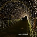 루리케이