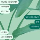 솔비농장 | 너 f 합격